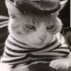 poshpersian